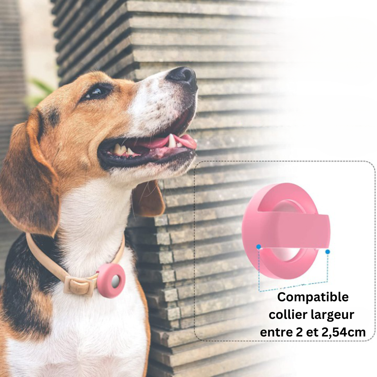 SUPPORT AIRTAG DE COLLIER GPS POUR CHIEN | CaniTraceur