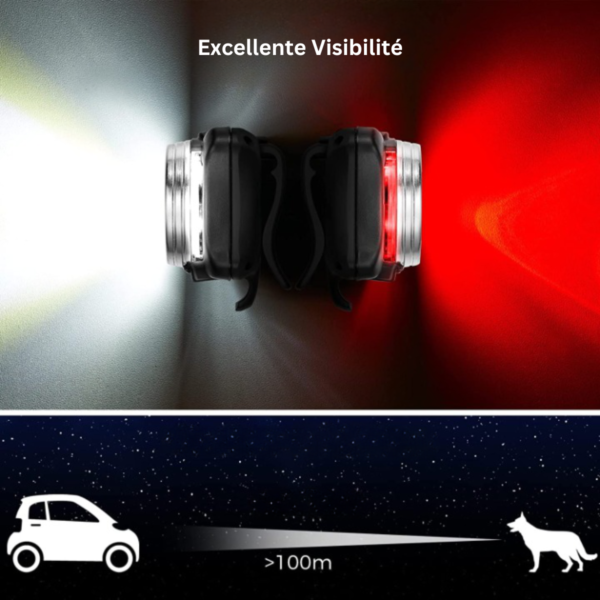 SUPPORT DE COLLIER POUR CHIEN LUMINEUX | LuminoDog