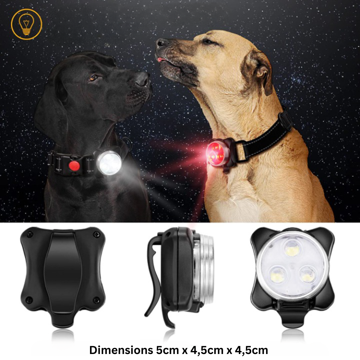 SUPPORT DE COLLIER POUR CHIEN LUMINEUX | LuminoDog