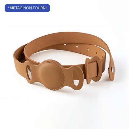 COLLIER GPS POUR CHIEN SANS ABONNEMENT | DogTrack