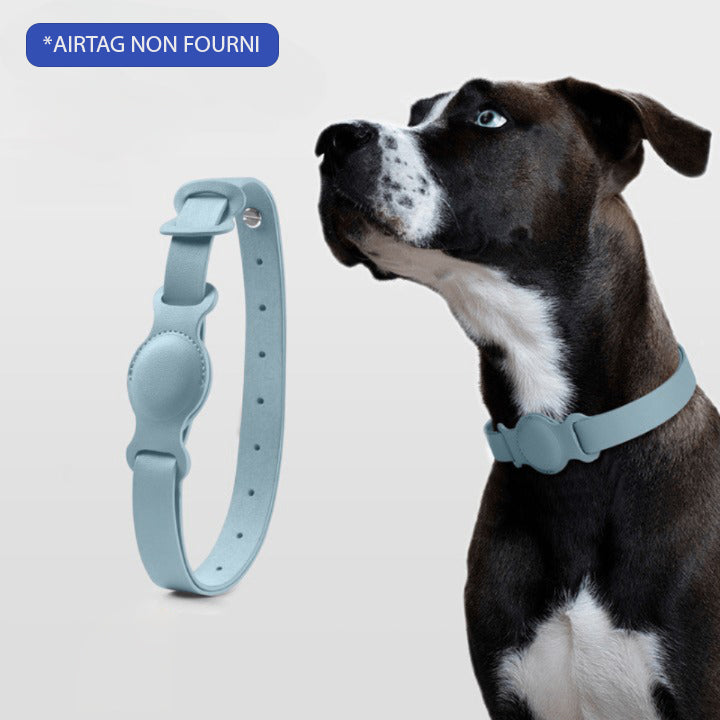 COLLIER GPS POUR CHIEN SANS ABONNEMENT | DogTrack