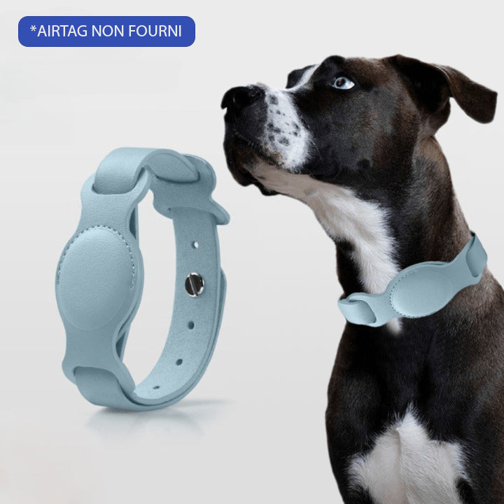 COLLIER GPS POUR CHIEN SANS ABONNEMENT | DogTrack