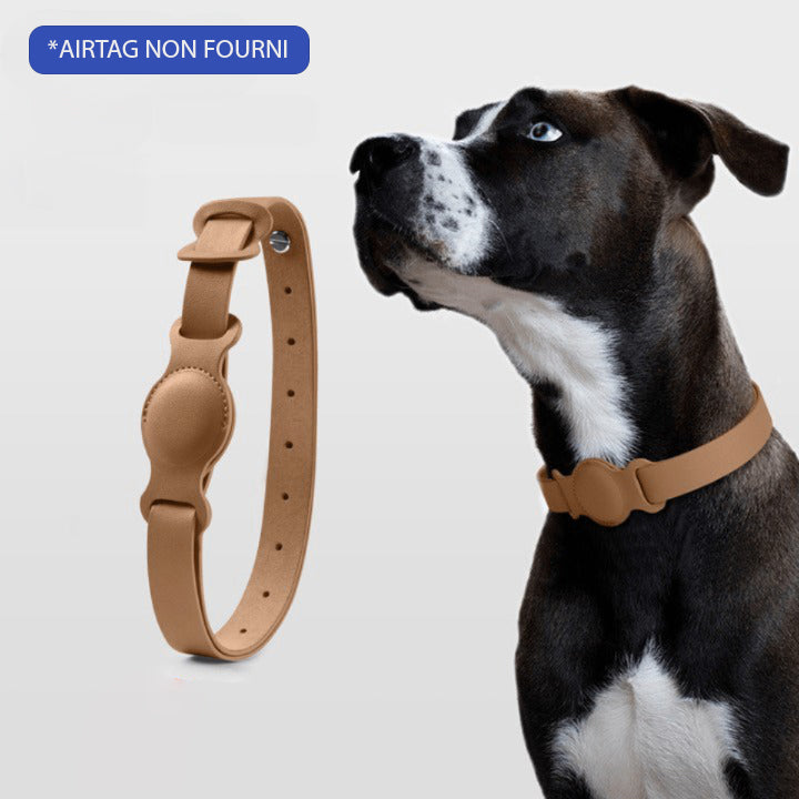 COLLIER GPS POUR CHIEN SANS ABONNEMENT | DogTrack