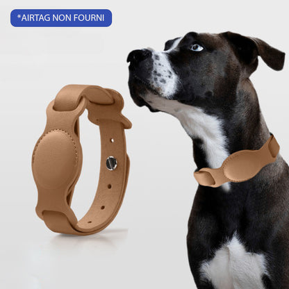 COLLIER GPS POUR CHIEN SANS ABONNEMENT | DogTrack