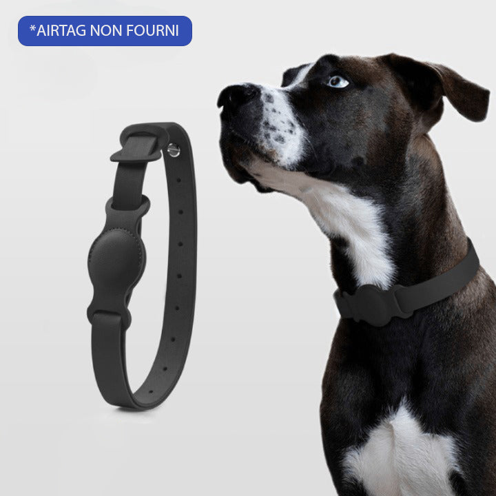 COLLIER GPS POUR CHIEN SANS ABONNEMENT | DogTrack