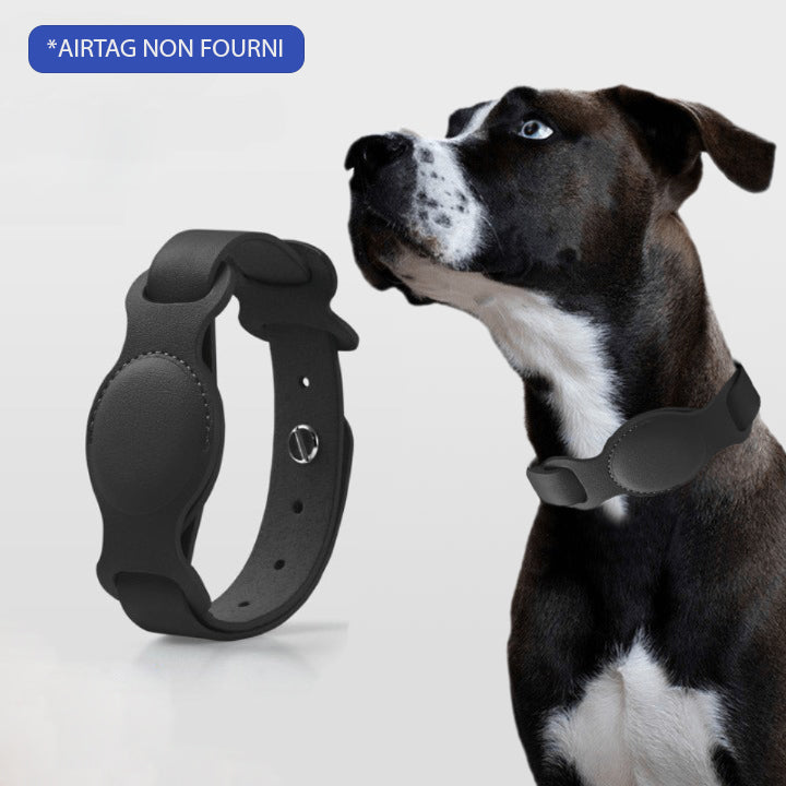 COLLIER GPS POUR CHIEN SANS ABONNEMENT | DogTrack