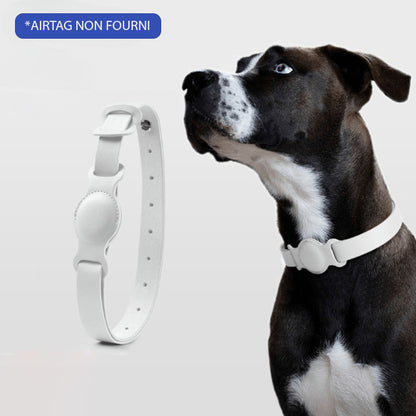 COLLIER GPS POUR CHIEN SANS ABONNEMENT | DogTrack