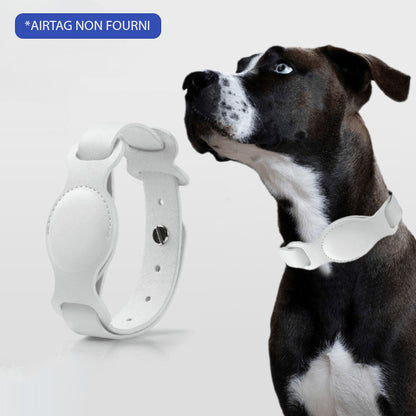 COLLIER GPS POUR CHIEN SANS ABONNEMENT | DogTrack