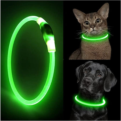 COLLIER CHIEN LUMINEUX | EclairPatte