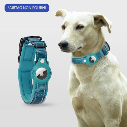 COLLIER CHIEN GPS SANS ABONNEMENT | ToutouTraceur