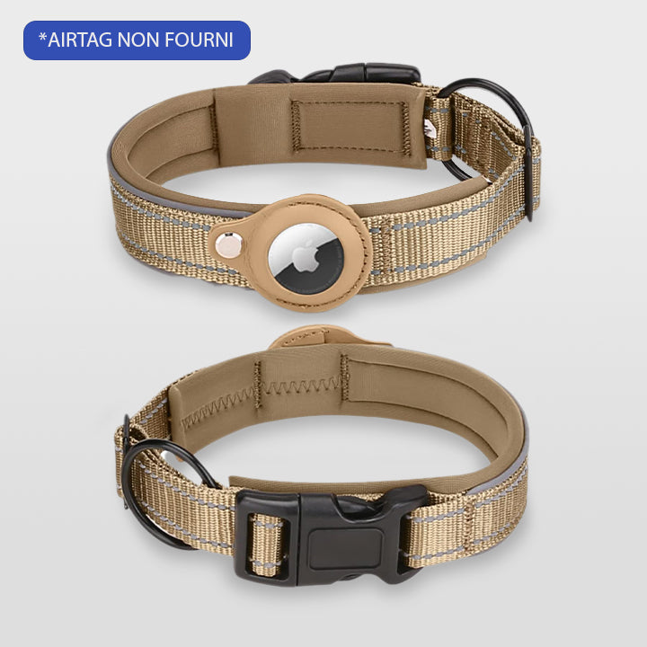 COLLIER CHIEN GPS SANS ABONNEMENT | ToutouTraceur