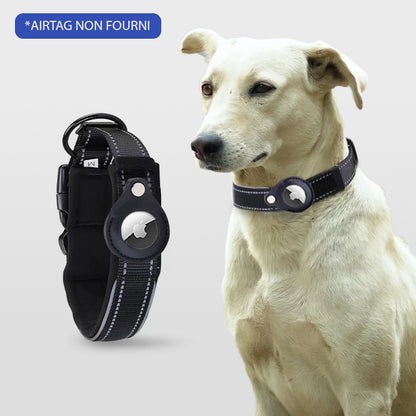 COLLIER CHIEN GPS SANS ABONNEMENT | ToutouTraceur