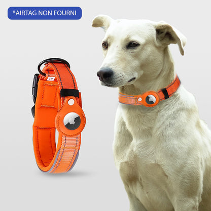 COLLIER CHIEN GPS SANS ABONNEMENT | ToutouTraceur