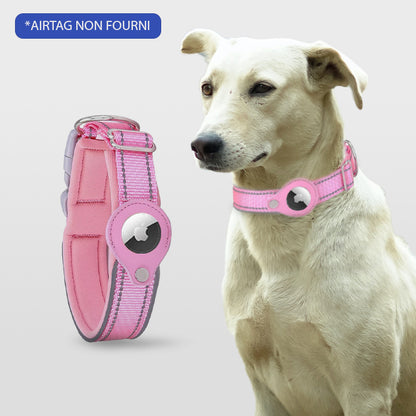 COLLIER CHIEN GPS SANS ABONNEMENT | ToutouTraceur