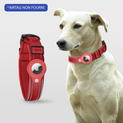 COLLIER CHIEN GPS SANS ABONNEMENT | ToutouTraceur