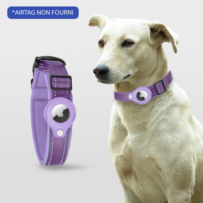 COLLIER CHIEN GPS SANS ABONNEMENT | ToutouTraceur