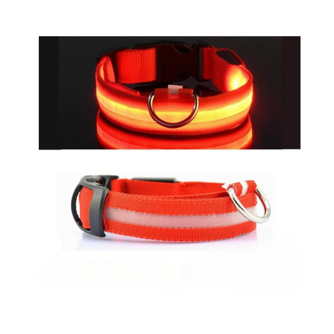 COLLIER LUMINEUX POUR CHIEN | CaniLumière