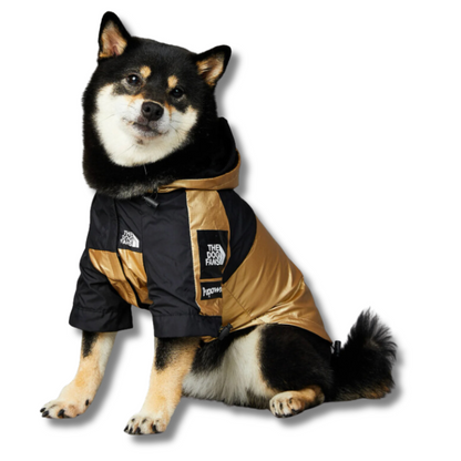 HABIT POUR CHIEN | Imperméable Style North Face