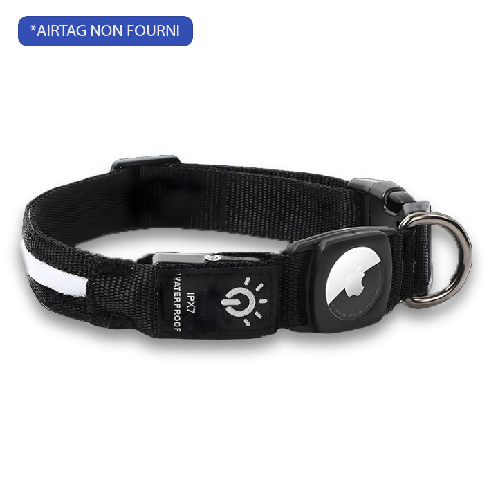 COLLIER GPS CHIEN SANS ABONNEMENT | DoggyNav