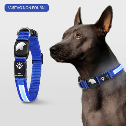 COLLIER GPS CHIEN SANS ABONNEMENT | DoggyNav