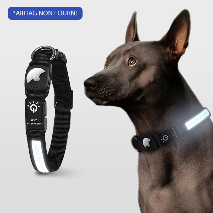 COLLIER GPS CHIEN SANS ABONNEMENT | DoggyNav