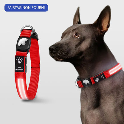 COLLIER GPS CHIEN SANS ABONNEMENT | DoggyNav