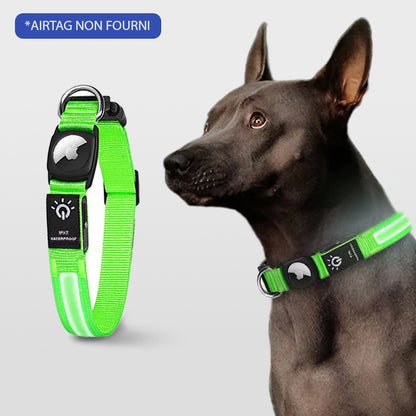 COLLIER GPS CHIEN SANS ABONNEMENT | DoggyNav