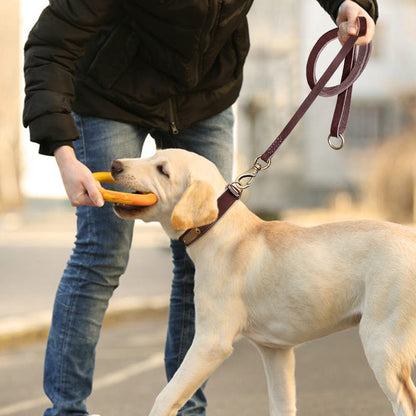 COLLIER POUR CHIEN EN CUIR | CaniClass