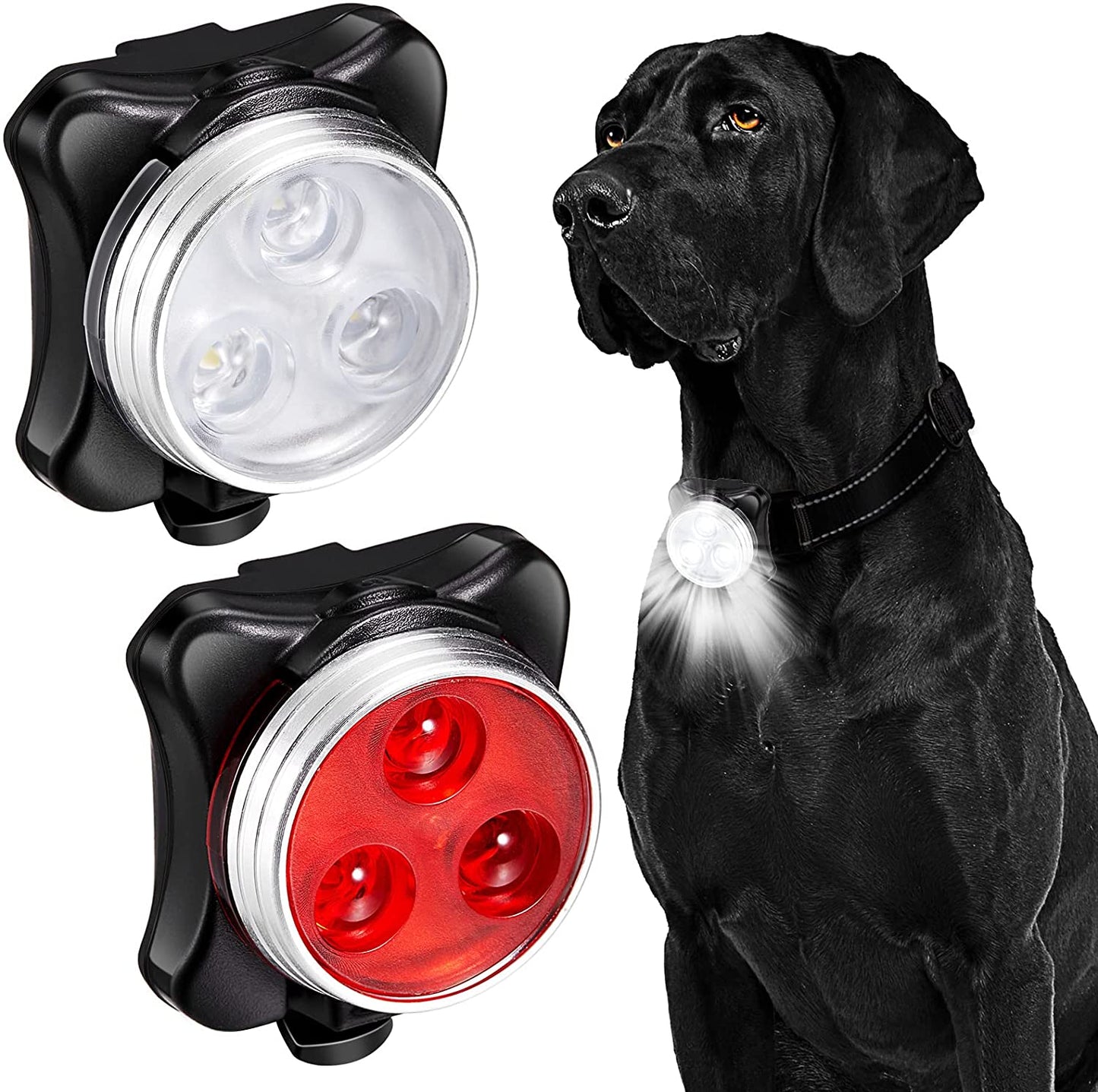 SUPPORT DE COLLIER POUR CHIEN LUMINEUX | LuminoDog