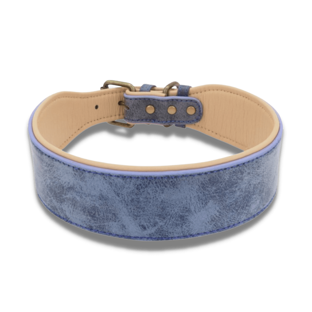 Collier Chien Cuir Large  Bleu / XL